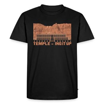 Temple-ing it up - Men's Premium Organic T-Shirt - black - Front - Nico (187cm)