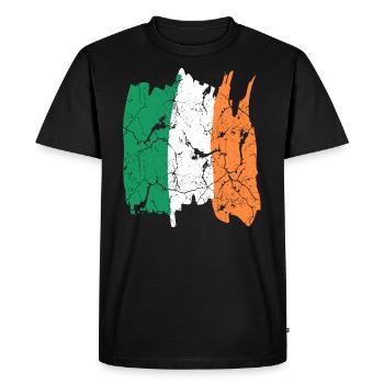 Drapeau de l’Irlande - T-shirt Premium bio Homme - noir - Devant - Nico (187cm)