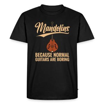 Mandoline, parce que les guitares normales sont ennuyeuses - T-shirt Premium bio Homme - noir - Devant - Nico (187cm)