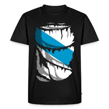 Drapeau de la Galice - T-shirt Premium bio Homme - noir - Devant - Nico (187cm)