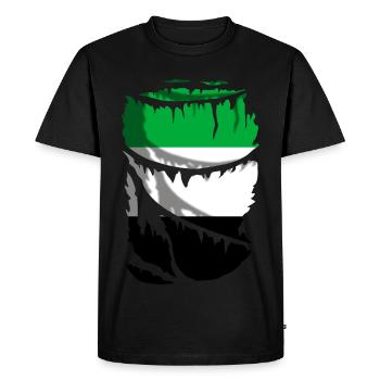 Drapeau de l’Estrémadure, cadeau original - T-shirt Premium bio Homme - noir - Devant - Nico (187cm)