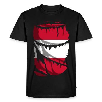 Flag of Austria, broken or torn fabric effect - Men's Premium Organic T-Shirt - black - Front - Nico (187cm)