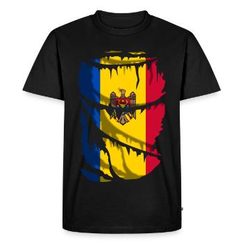 Drapeau de la Moldavie, effet tissu cassé ou déchiré - T-shirt Premium bio Homme - noir - Devant - Nico (187cm)