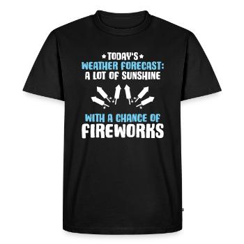 Pyrotechnicien Feux d’artifice Pyrotechnie Pyrotechnicien - T-shirt Premium bio Homme - noir - Devant - Nico (187cm)