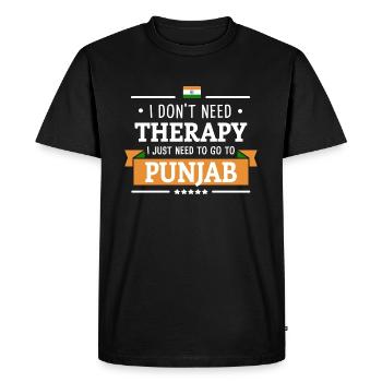 PUNJAB THÉRAPIE INDE DRAPEAU VOYAGE CADEAU - T-shirt Premium bio Homme - noir - Devant - Nico (187cm)