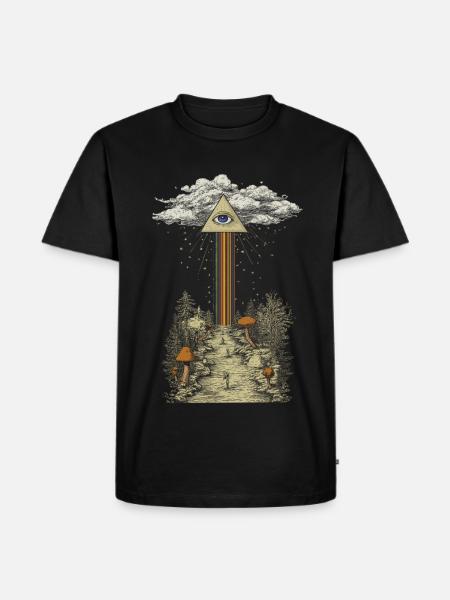Mystischer Regenbogenstrahl im Pilzwald - Männer Premium Bio T-Shirt - Schwarz