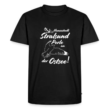 Stralsund Hanseatic city pearl on the Baltic Sea - Men's Premium Organic T-Shirt - black - Front - Nico (187cm)