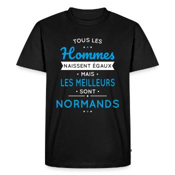 Hommes égaux les meilleurs sont Normands - T-shirt Premium bio Homme - noir - Devant - Nico (187cm)