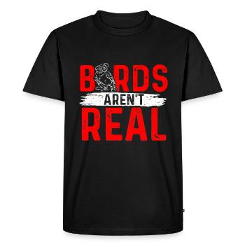 Birds Are Not Real - Men's Premium Organic T-Shirt - black - Front - Nico (187cm)