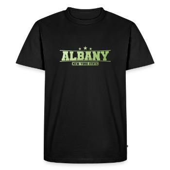 Albany City, New York State - Men's Premium Organic T-Shirt - black - Front - Nico (187cm)