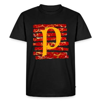 Bandes E 232 P - T-shirt Premium bio Homme - noir - Devant - Nico (187cm)