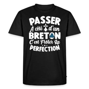 Bretagne Frôler La Perfection Cadeau Breton Breizh - T-shirt Premium bio Homme - noir - Devant - Nico (187cm)