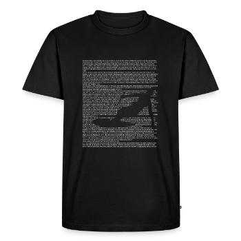 Kite kite de kite-kite de kite de kite - T-shirt Premium bio Homme - noir - Devant - Nico (187cm)