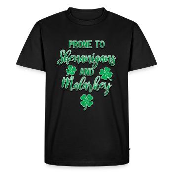 St Patrick's Day Shenanigans and Malarkey Fun - Men's Premium Organic T-Shirt - black - Front - Nico (187cm)