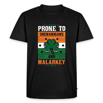 St Patricks Day Prone To Shenanigans And Malarkey - Men's Premium Organic T-Shirt - black - Front - Nico (187cm)