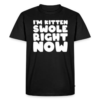Entraînement Chat d’entraînement Je suis Chaton enflé en ce moment - T-shirt Premium bio Homme - noir - Devant - Nico (187cm)