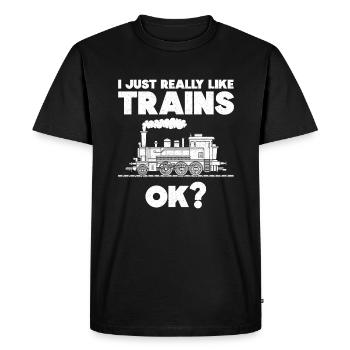 Mécanicien de chemin de fer Locomotives à vapeur - T-shirt Premium bio Homme - noir - Devant - Nico (187cm)