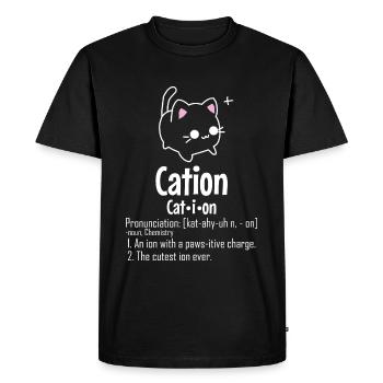 Cation Chimiste Physicien Drôle Cadeau Chat - T-shirt Premium bio Homme - noir - Devant - Nico (187cm)