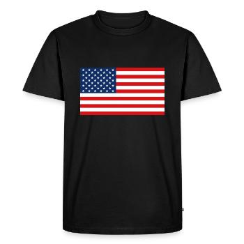 United States - Men's Premium Organic T-Shirt - black - Front - Nico (187cm)