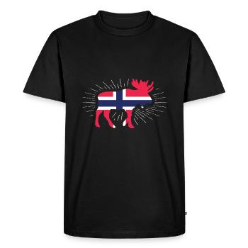 Norway - Men's Premium Organic T-Shirt - black - Front - Nico (187cm)