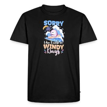 Kite Surfing Don't Work On Windy Days - Men's Premium Organic T-Shirt - black - Front - Nico (187cm)