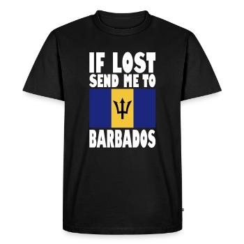 Drapeau de la Barbade - T-shirt Premium bio Homme - noir - Devant - Nico (187cm)