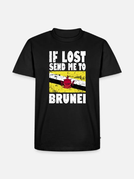 Drapeau du Brunei - T-shirt Premium bio Homme - noir