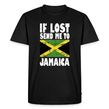 Drapeau de la Jamaïque - T-shirt Premium bio Homme - noir - Devant - Nico (187cm)