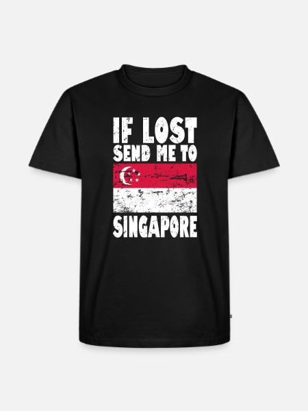 Drapeau de Singapour - T-shirt Premium bio Homme - noir