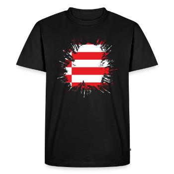 Drapeau de Brême Drapeau de Brême - T-shirt Premium bio Homme - noir - Devant - Nico (187cm)