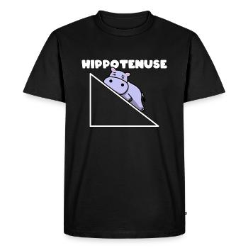 Hippotenuse Pythagoras Mathe Mathematiker Lehrer - Männer Premium Bio T-Shirt - Schwarz - Vorne - Nico (187cm)