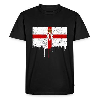 Northern Ireland flag - Men's Premium Organic T-Shirt - black - Front - Nico (187cm)