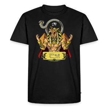 Dieu égyptien Ra Mythologie de l'ancienne divinité solaire - T-shirt Premium bio Homme - noir - Devant - Nico (187cm)
