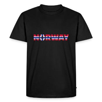 Norway - Men's Premium Organic T-Shirt - black - Front - Nico (187cm)