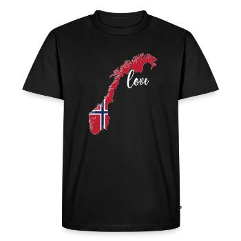 Norvège norvégienne Origine Drapeau norvégien - T-shirt Premium bio Homme - noir - Devant - Nico (187cm)