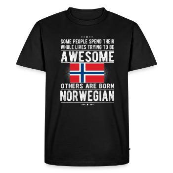 Norvège Norvégienne Drapeau Origine norvégienne - T-shirt Premium bio Homme - noir - Devant - Nico (187cm)