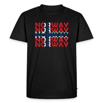 Norvège Norvégienne Drapeau Racines norvégiennes - T-shirt Premium bio Homme - noir - Devant - Nico (187cm)