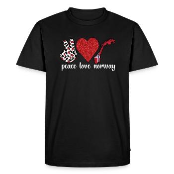 Norvégien Drapeau norvégien Racines norvégiennes - T-shirt Premium bio Homme - noir - Devant - Nico (187cm)