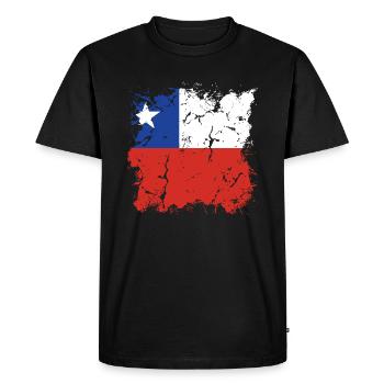 Chili Drapeau Amérique du Sud Drapeau Chili Vintage - T-shirt Premium bio Homme - noir - Devant - Nico (187cm)