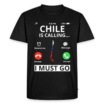 Chili Drapeau Amérique du Sud Drapeau chilien Vintage - T-shirt Premium bio Homme - noir - Devant - Nico (187cm)