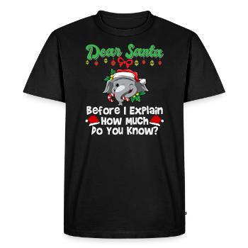 Cher Père Noël avant que j’explique combien savez-vous - T-shirt Premium bio Homme - noir - Devant - Nico (187cm)