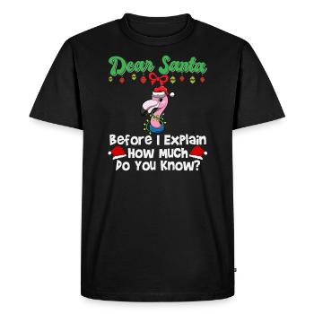 Cher Père Noël avant que j’explique combien savez-vous - T-shirt Premium bio Homme - noir - Devant - Nico (187cm)