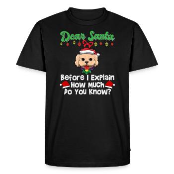Cher Père Noël avant que j’explique combien savez-vous - T-shirt Premium bio Homme - noir - Devant - Nico (187cm)