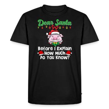 Cher Père Noël avant que j’explique combien savez-vous - T-shirt Premium bio Homme - noir - Devant - Nico (187cm)