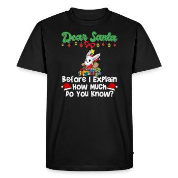 Cher Père Noël avant que j’explique combien savez-vous - T-shirt Premium bio Homme - noir - Devant - Nico (187cm)