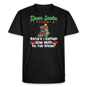 Cher Père Noël avant que j’explique combien savez-vous - T-shirt Premium bio Homme - noir - Devant - Nico (187cm)