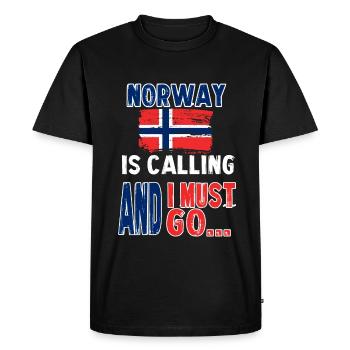 Drapeau Norvège Helsinki - T-shirt Premium bio Homme - noir - Devant - Nico (187cm)