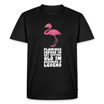 Drôle de flamant rose - T-shirt Premium bio Homme - noir - Devant - Nico (187cm)