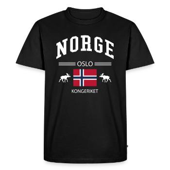Norvège - T-shirt Premium bio Homme - noir - Devant - Nico (187cm)