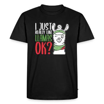 J’aime bien Llamas ? Llama fille Llama-Garçon alpaga - T-shirt Premium bio Homme - noir - Devant - Nico (187cm)